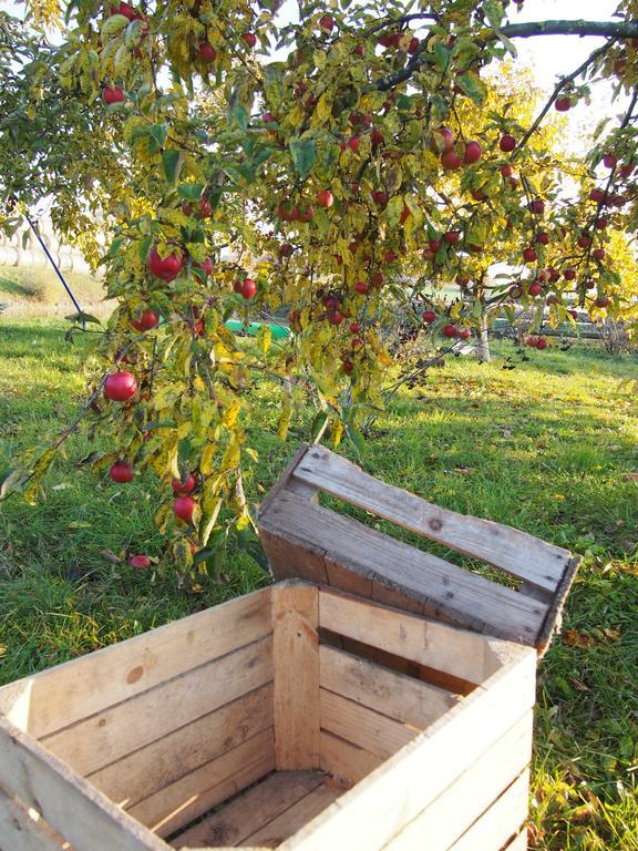 Agroturystyka Lolkowo Srokowo Exterior foto