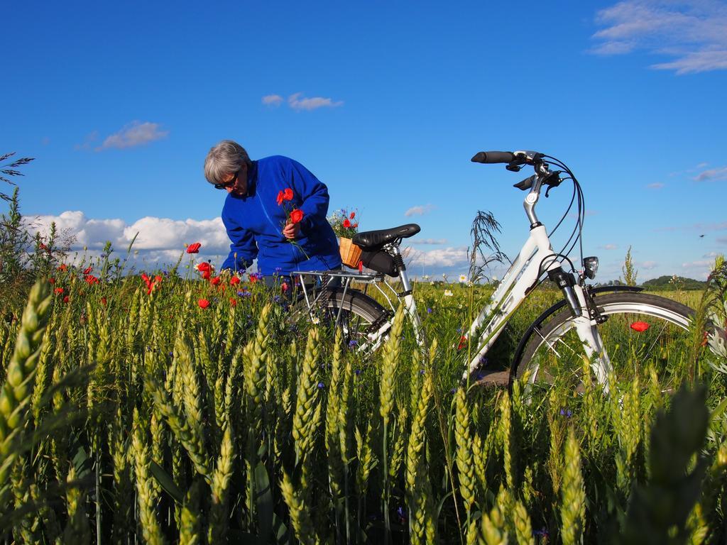 Agroturystyka Lolkowo Srokowo Exterior foto