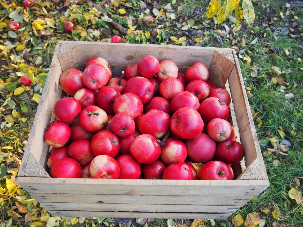 Agroturystyka Lolkowo Srokowo Exterior foto